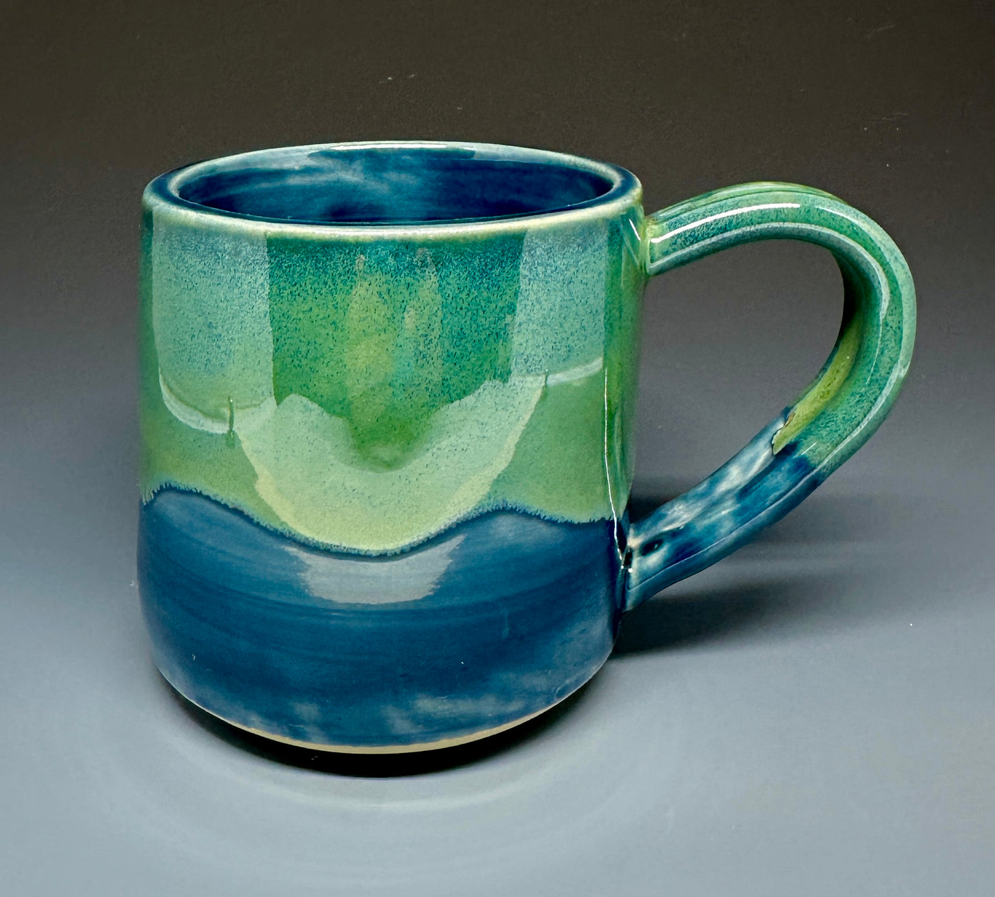 Navy/Green Mug